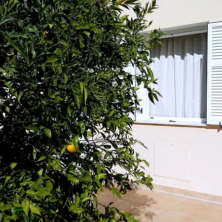 Apartmán Irene Kefalonia