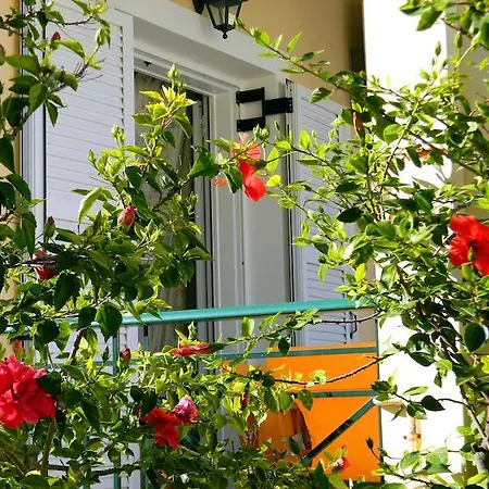 Apartment Irene Kefalonia Karavomylos