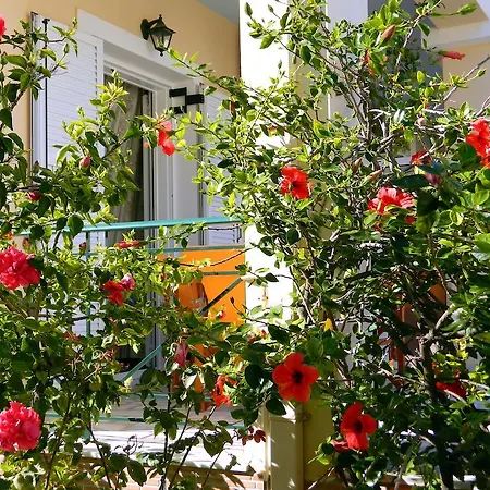 Irene Kefalonia