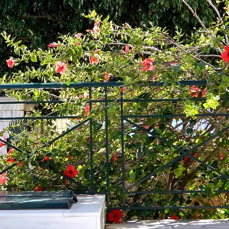 Irene Kefalonia Karavomylos