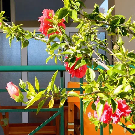 Apartamento Irene Kefalonia